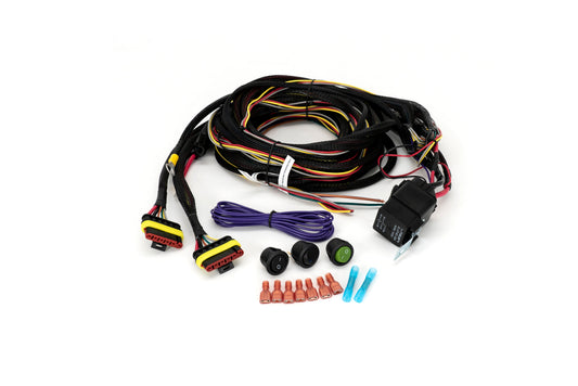 Triple-R Two-Lamp Wiring Kit (6-Pin, Superseal, 12V) - 2L-LP-6C-350