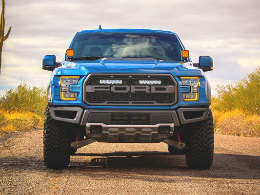 Ford F-150 Raptor (2017-2020)
