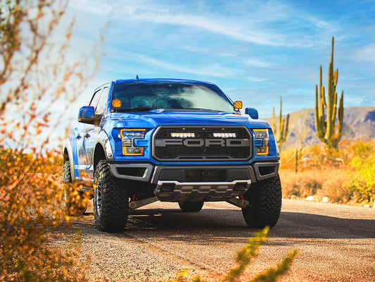 Ford F-150 Raptor (2017-2020)